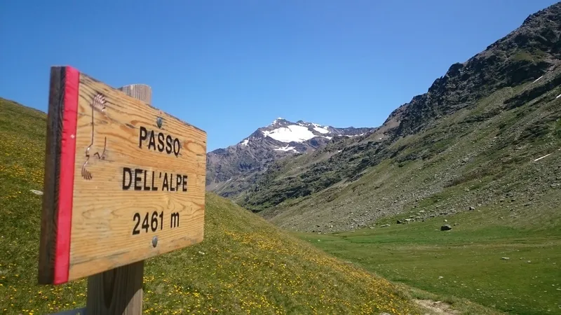 Passo dell' Alpe - 2461m